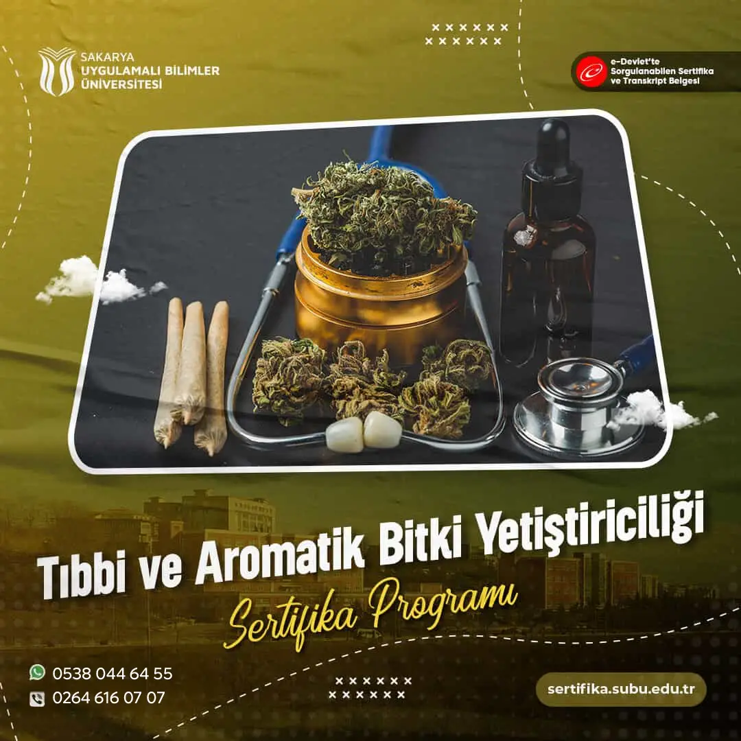 Tıbbi ve Aromatik Bitki Yetiştiriciliği Sertifikası