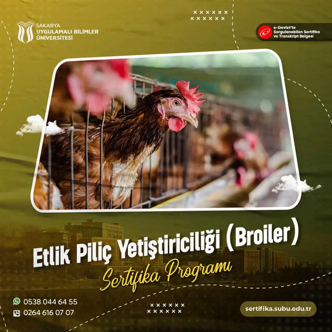 Etlik Piliç Yetiştiriciliği (Broiler) Sertifikası