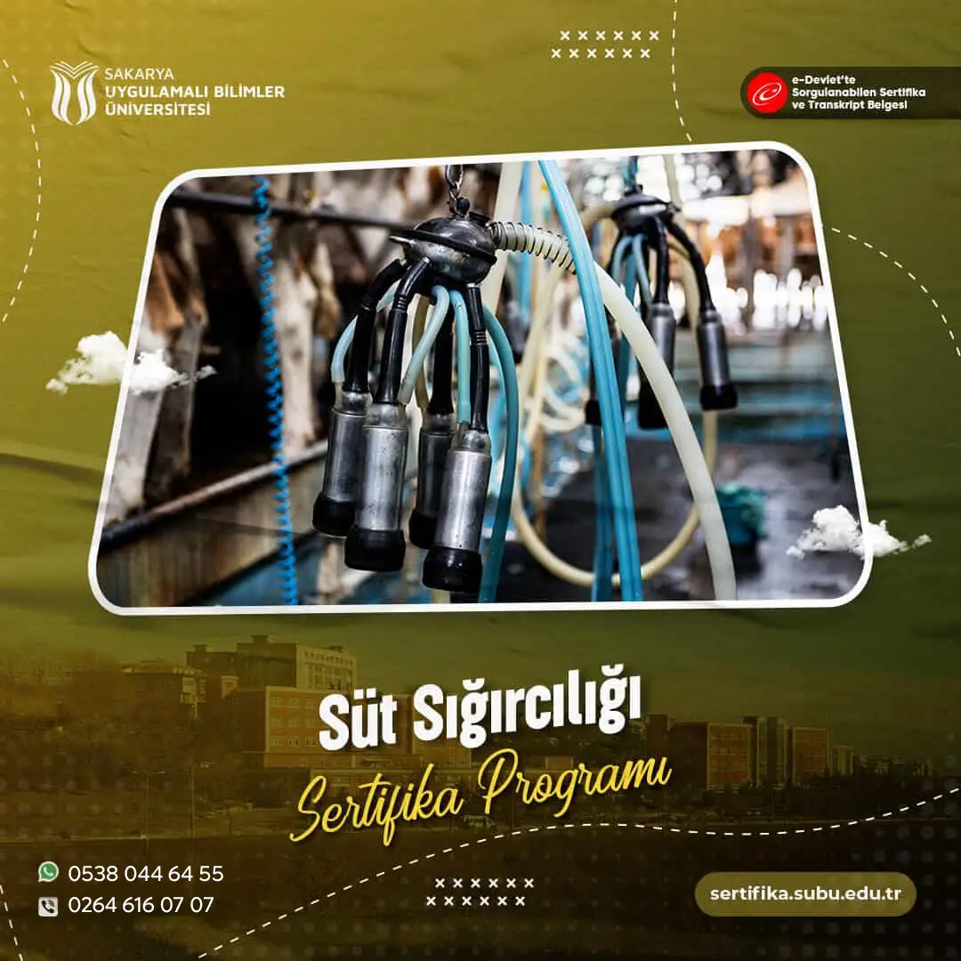 Süt Sığırcılığı Sertifikası