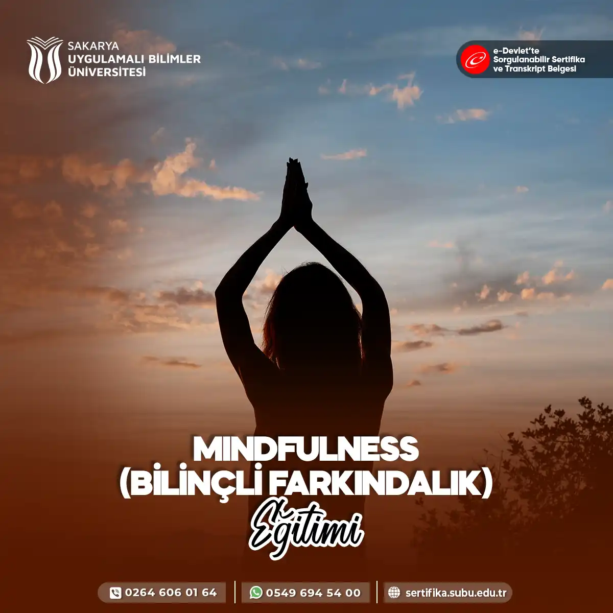 Mindfulness Eğitimi Sertifika Programı (Bilinçli Farkındalık)