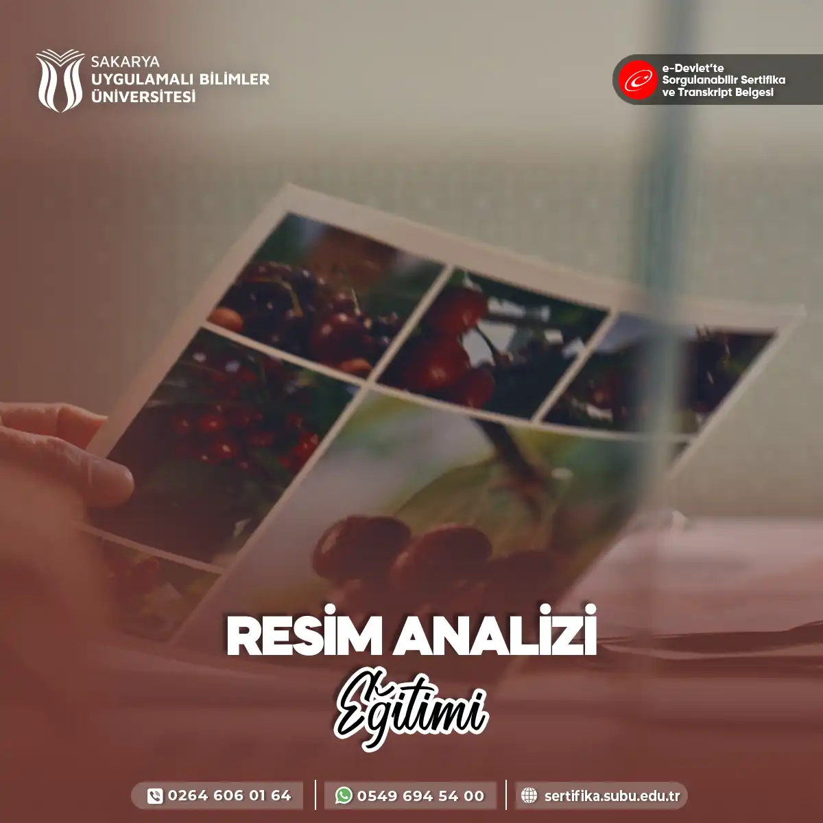 Resim Analizi Eğitimi Sertifika Programı