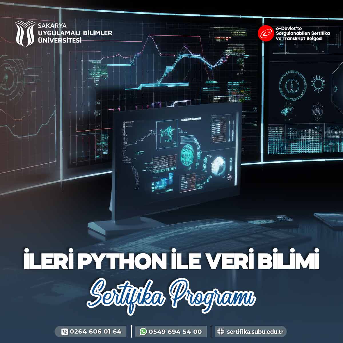 Python İle Veri Bilimi ve Makine Öğrenmesi Sertifika Programı