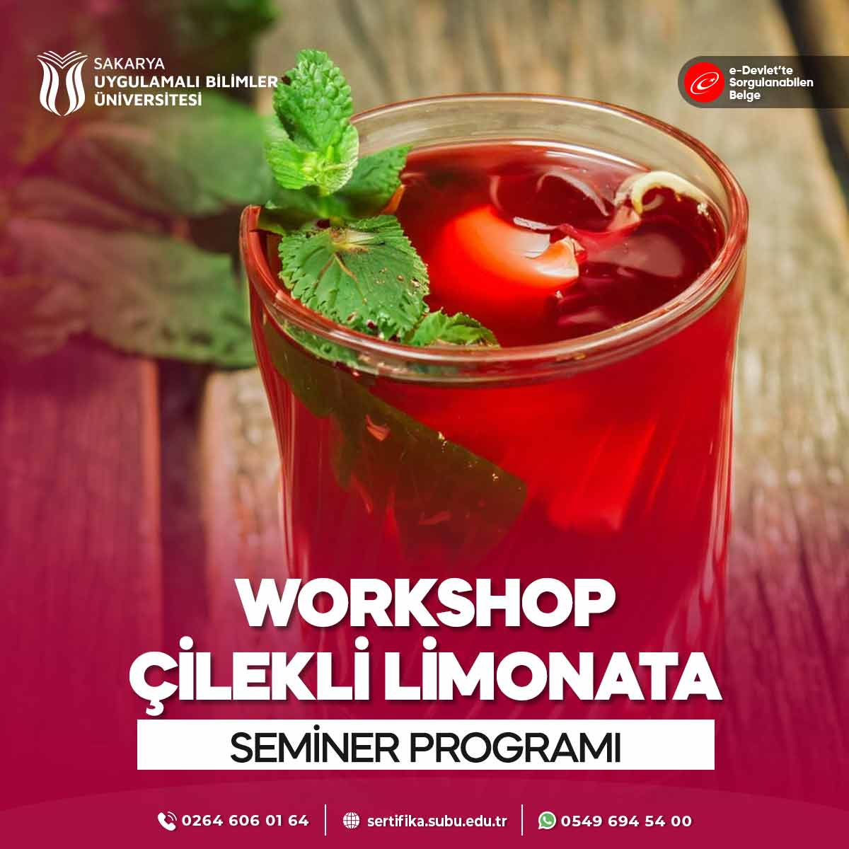 Workshop - Çilekli Limonata Semineri