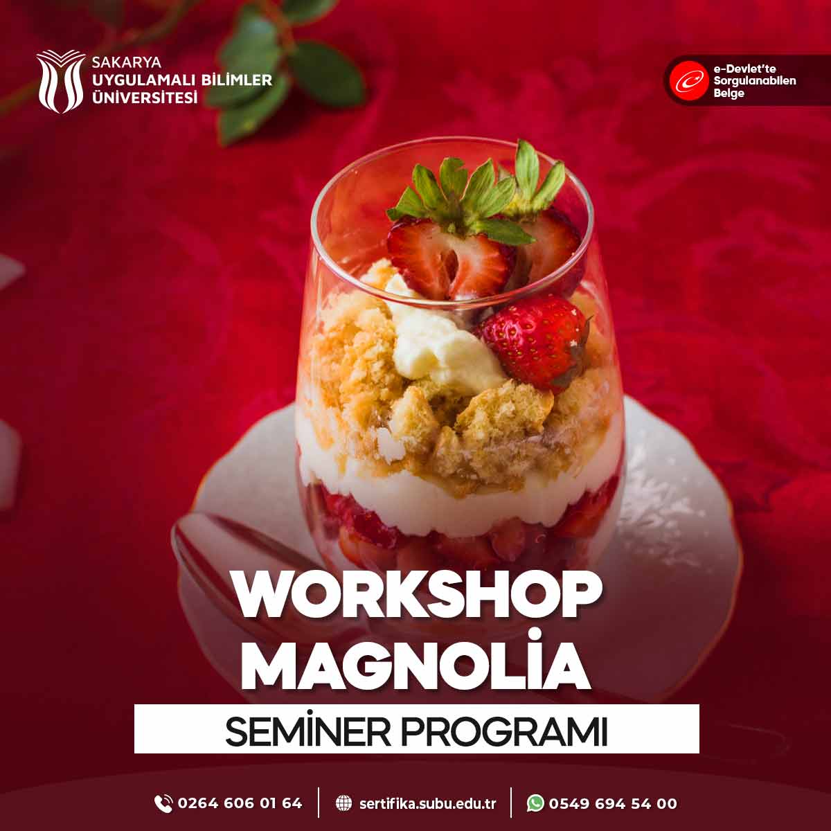 Workshop - Magnolia Semineri